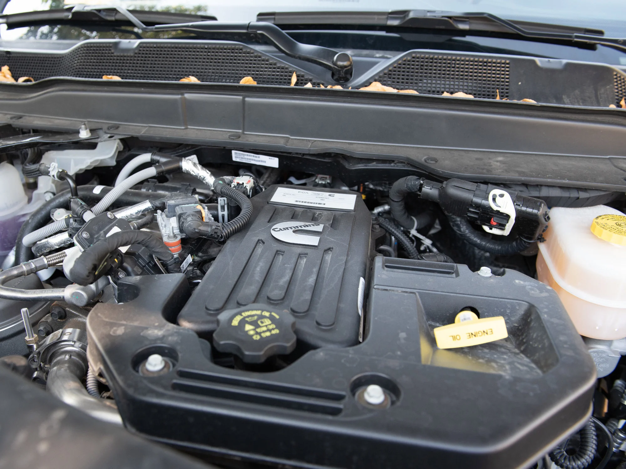 Used 2025 Grey RAM Limited image 11
