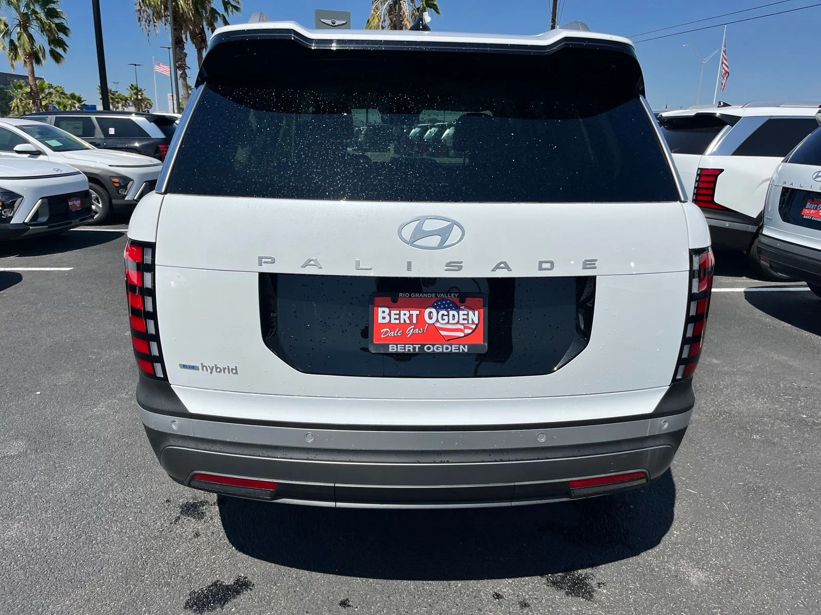 New 2026 White Hyundai Blue SEL Premium image 6