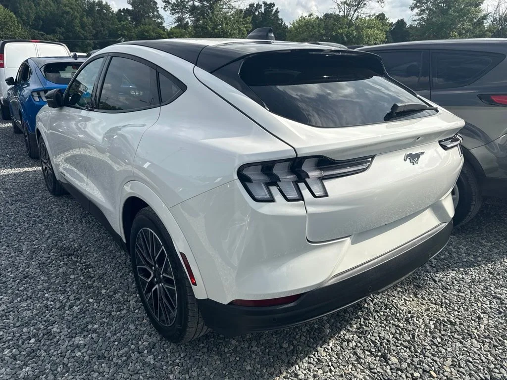 Used 2025 White Ford Premium image 4