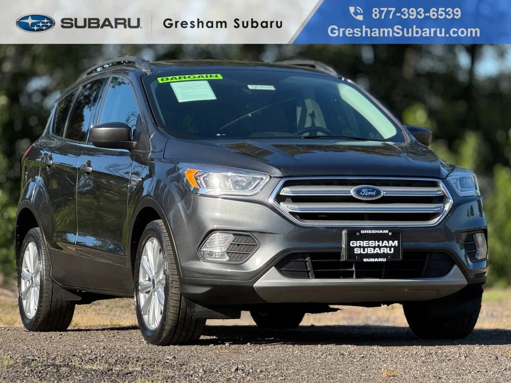 2019 Ford Escape SEL 4WD's photo