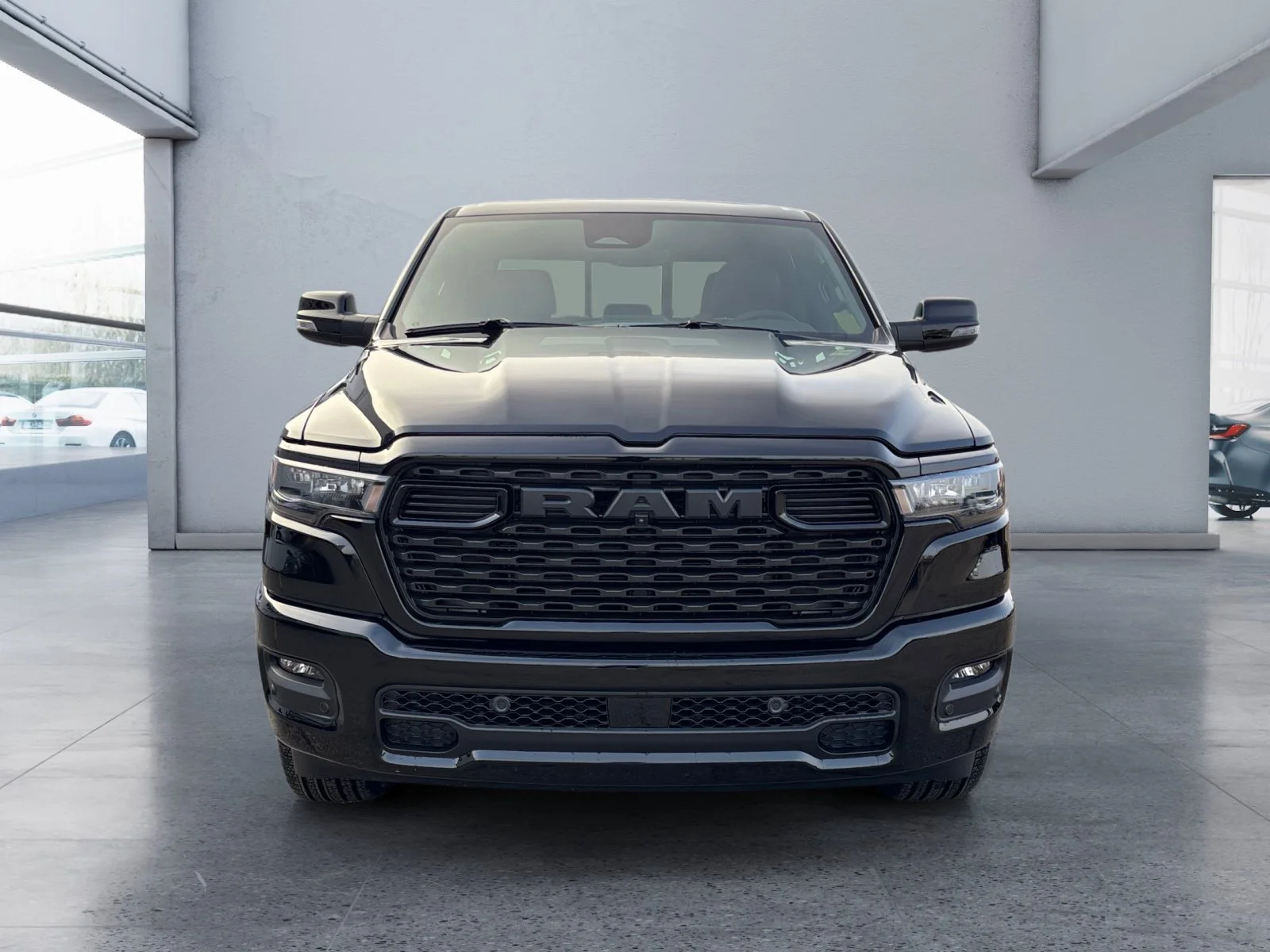 New 2027 Diamond Black Crystal Pearl Ram Sport image 8
