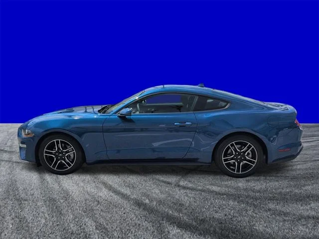 Certified Used 2022 2022 FORD MUSTANG ECOBOOST Ford EcoBoost image 7