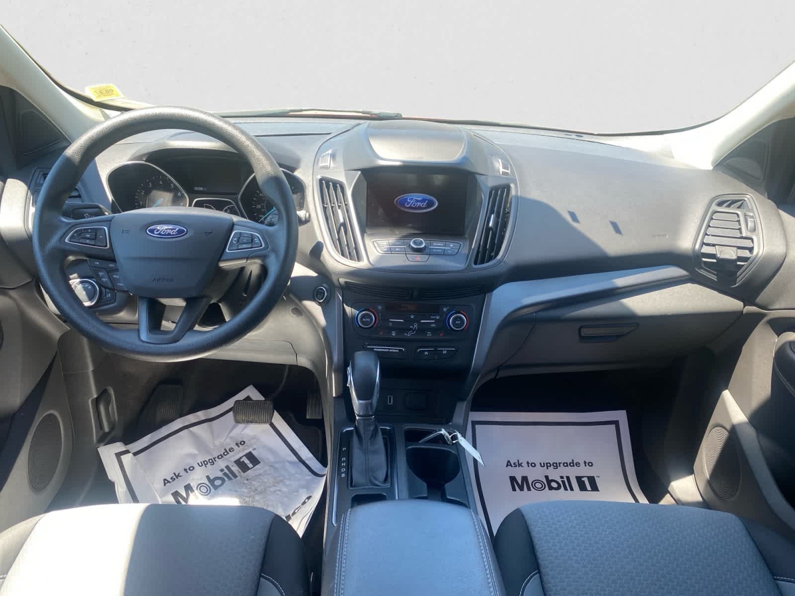 Used 2019 Ruby Red Metallic Tinted Clearcoat Ford SE image 16