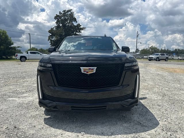 Used 2024 Black Raven Cadillac Sport Platinum image 2