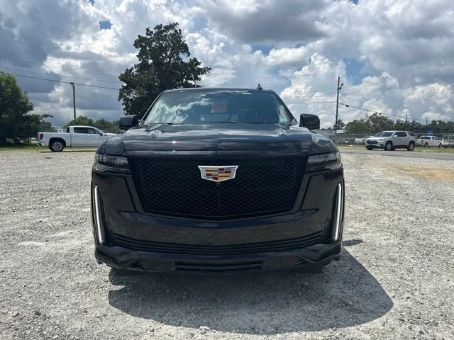 Used 2024 Black Raven Cadillac Sport Platinum image 2