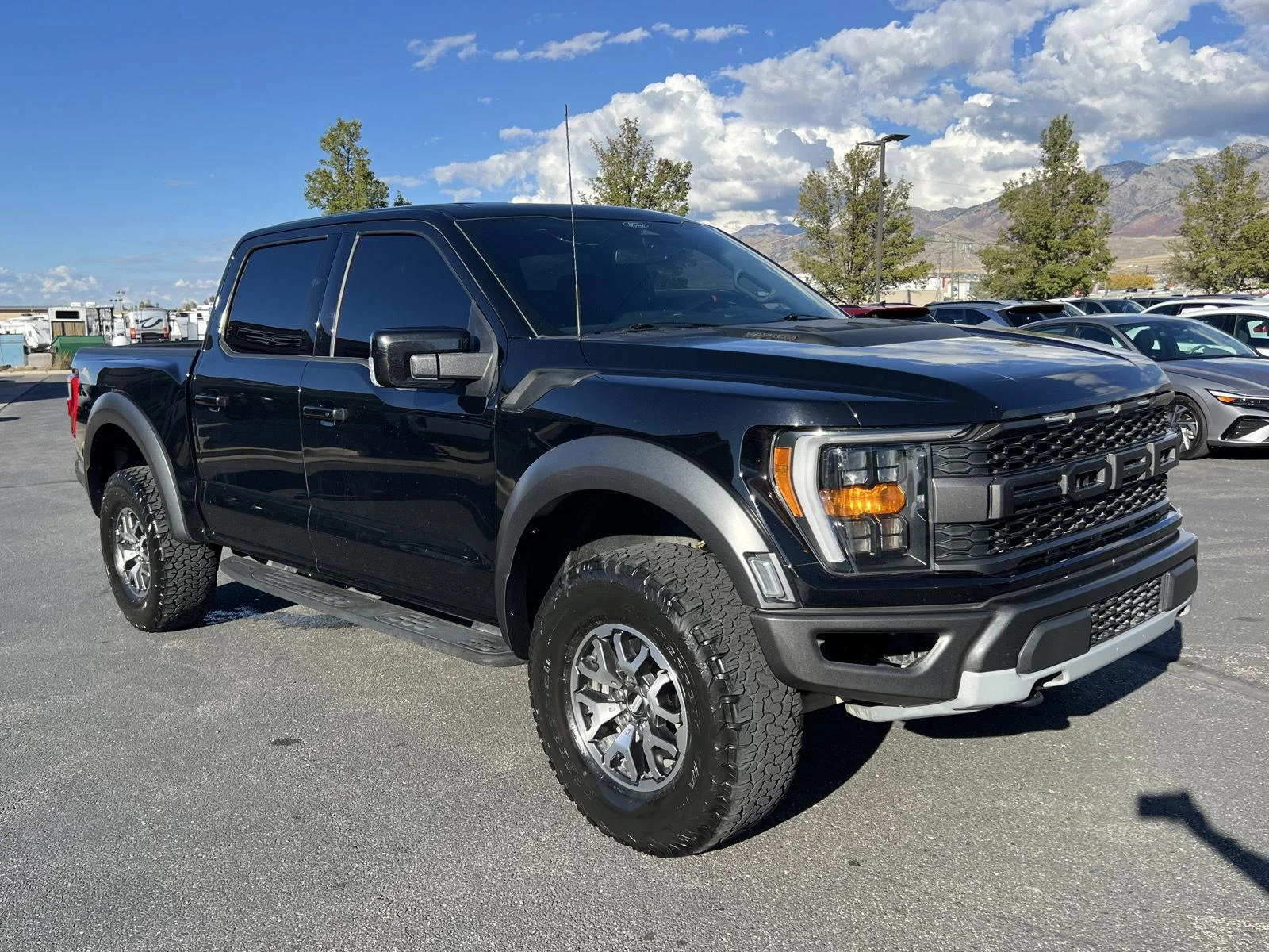 2022 Ford F-150 Raptor - Photo 9