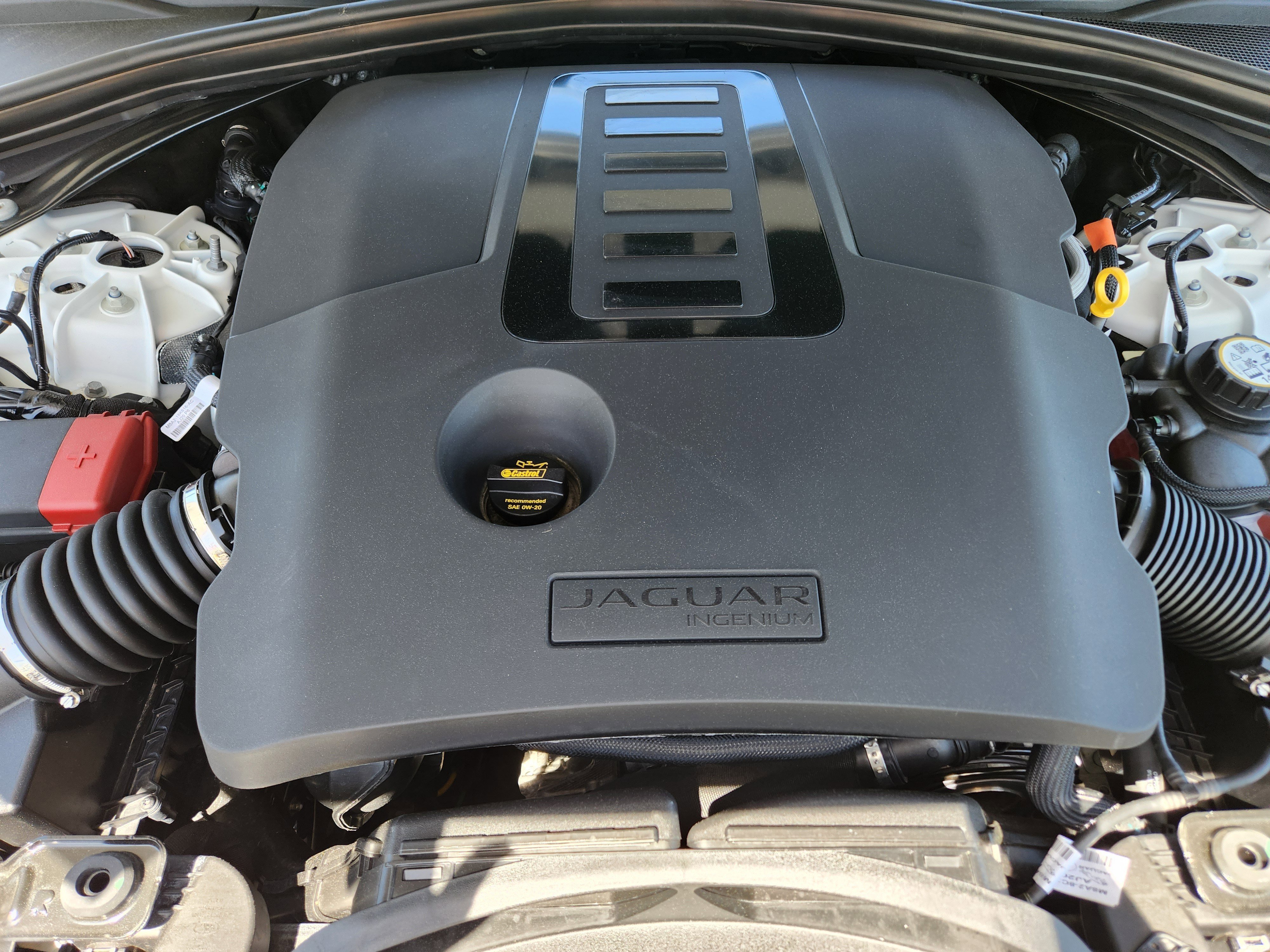 2024 Jaguar F-PACE R-Dynamic S - Photo 9