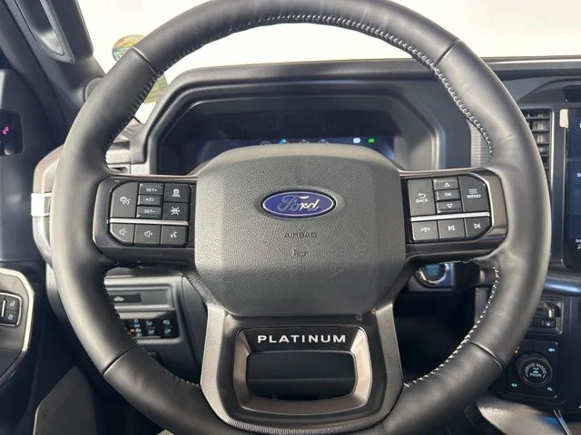 New 2026 Carbonized Gray Metallic Ford Platinum image 19