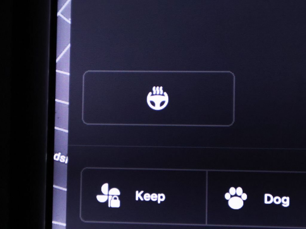 Used 2020 White Tesla Long Range image 40