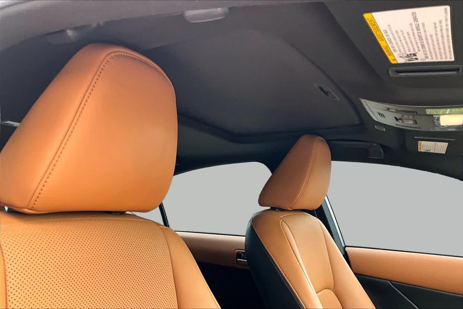 Used 2024 Infrared Lexus F SPORT Design image 14