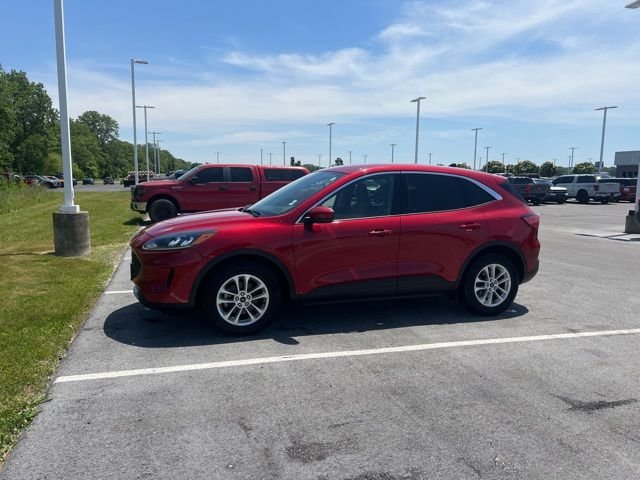 2020 Ford Escape SE FWD's photo