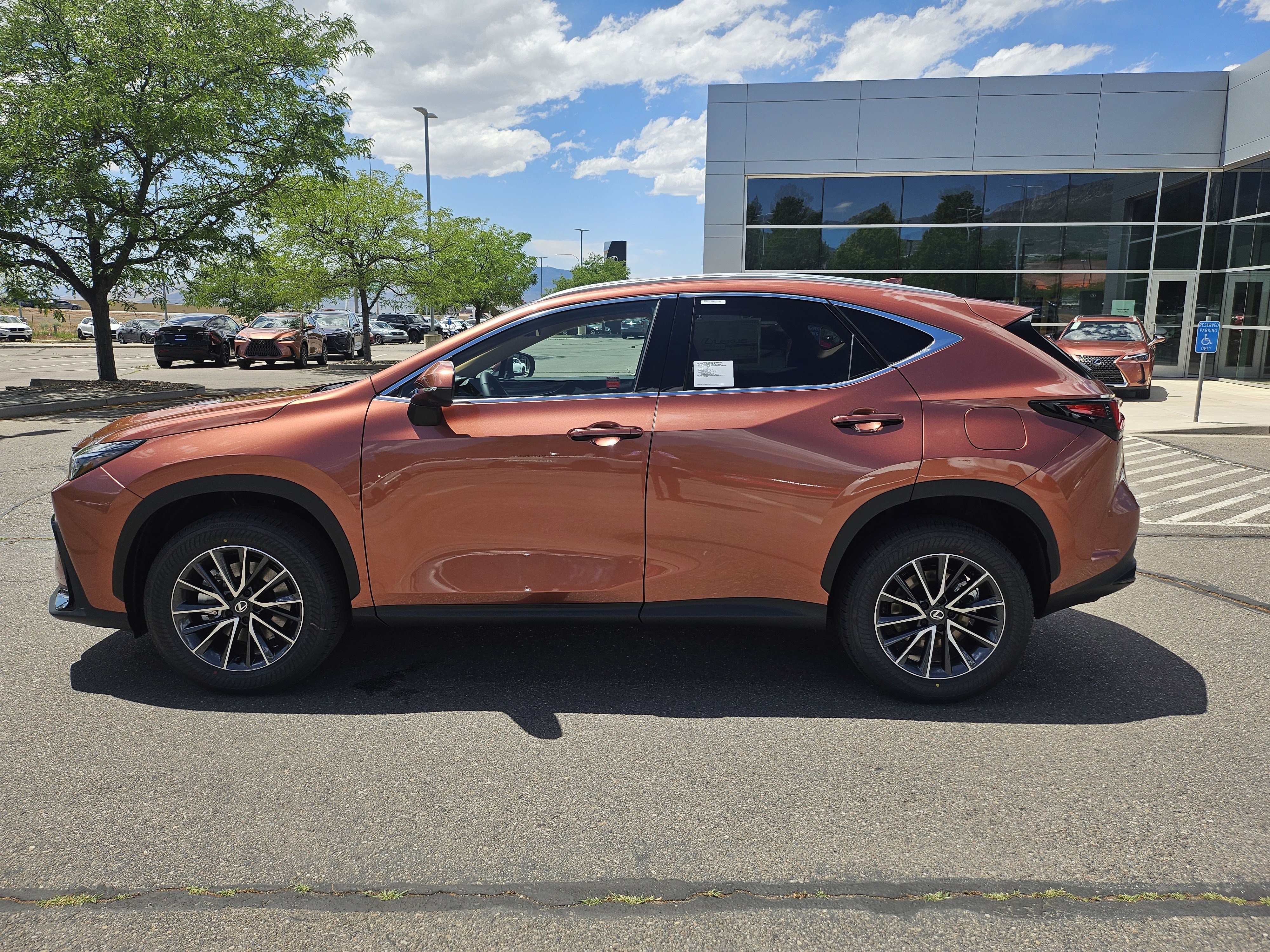 New 2026 Copper Crest Lexus PREMIUM image 9