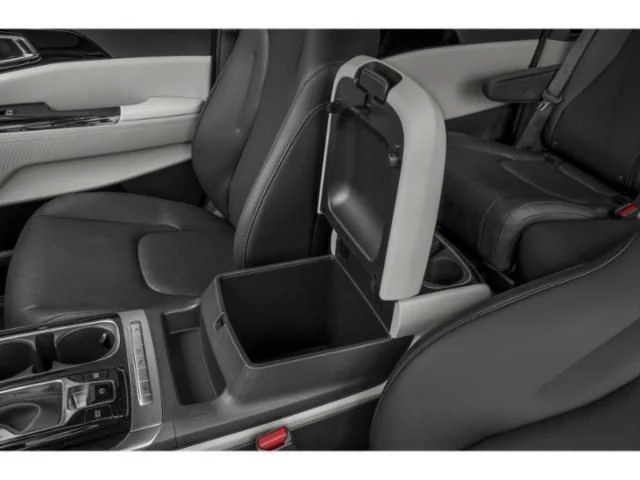 Used 2024 Panthera Metal Kia EX image 15