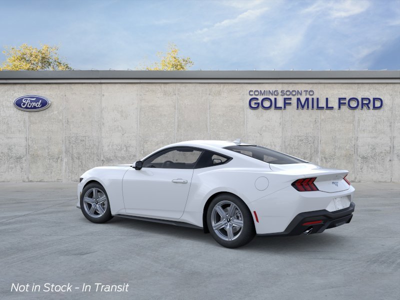 New 2026 Oxford White Ford EcoBoost image 4