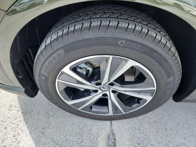 New 2026 Nori Green Pearl Lexus  image 10