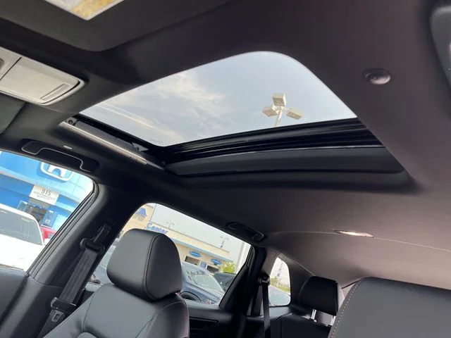 New 2026 Meteorite Gray Metallic Honda Sport-L image 18