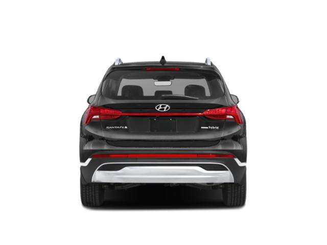 Certified Used 2023 Serenity White Pearl Hyundai SEL Premium image 8
