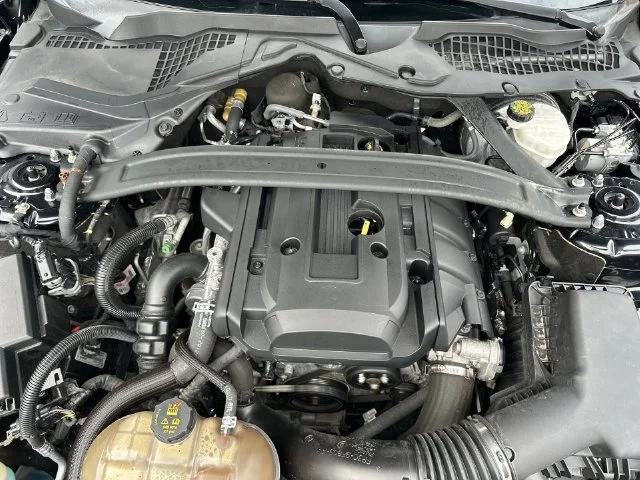 Used 2018 Black Ford EcoBoost Premium image 28