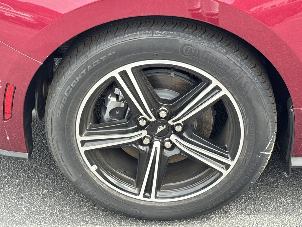 New 2025 Molten Magenta Metallic Tri-coat Ford EcoBoost® Fastback image 15
