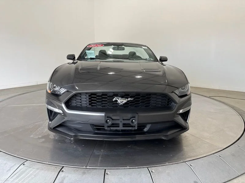 Used 2020 Gray Ford EcoBoost Premium image 2