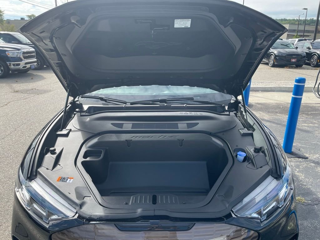 2025 Ford Mustang Mach-E GT - Photo 27