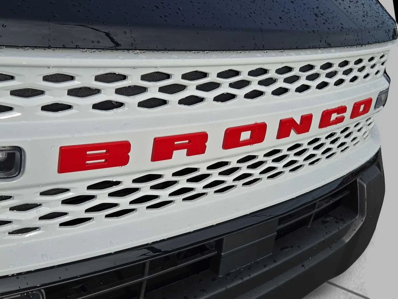 New 2026 Shadow Black Ford Heritage image 17