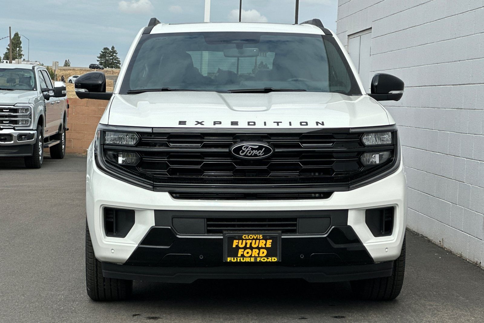 New 2026 White Ford Platinum image 8