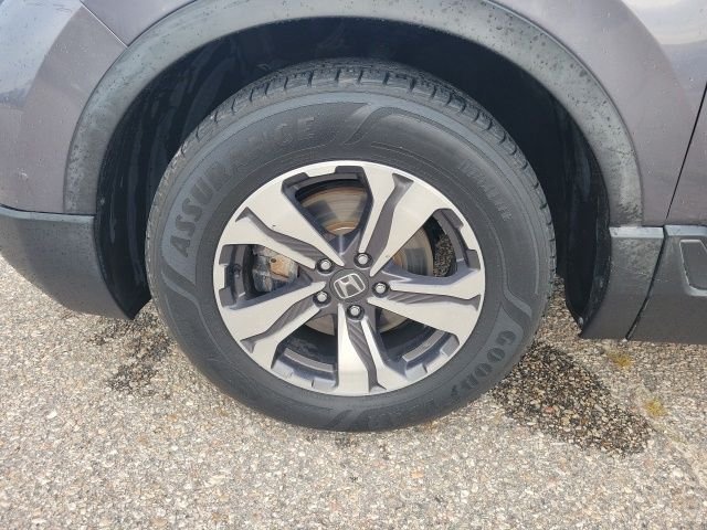 Used 2019 Gray Honda LX image 22