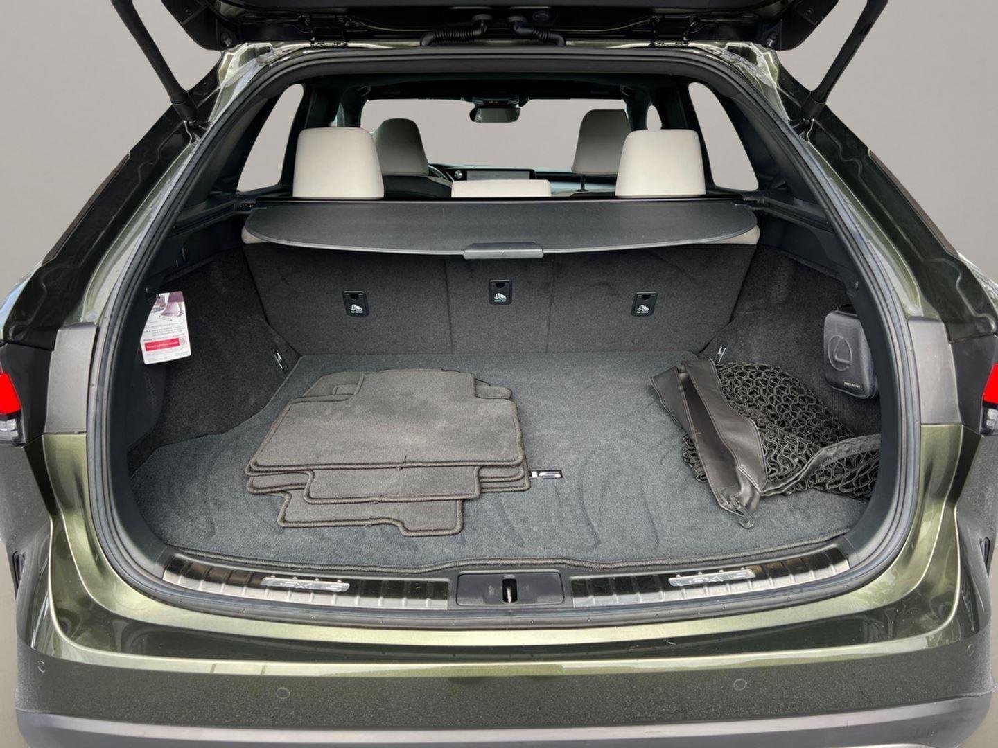 2023 Lexus RX 350 - Photo 19