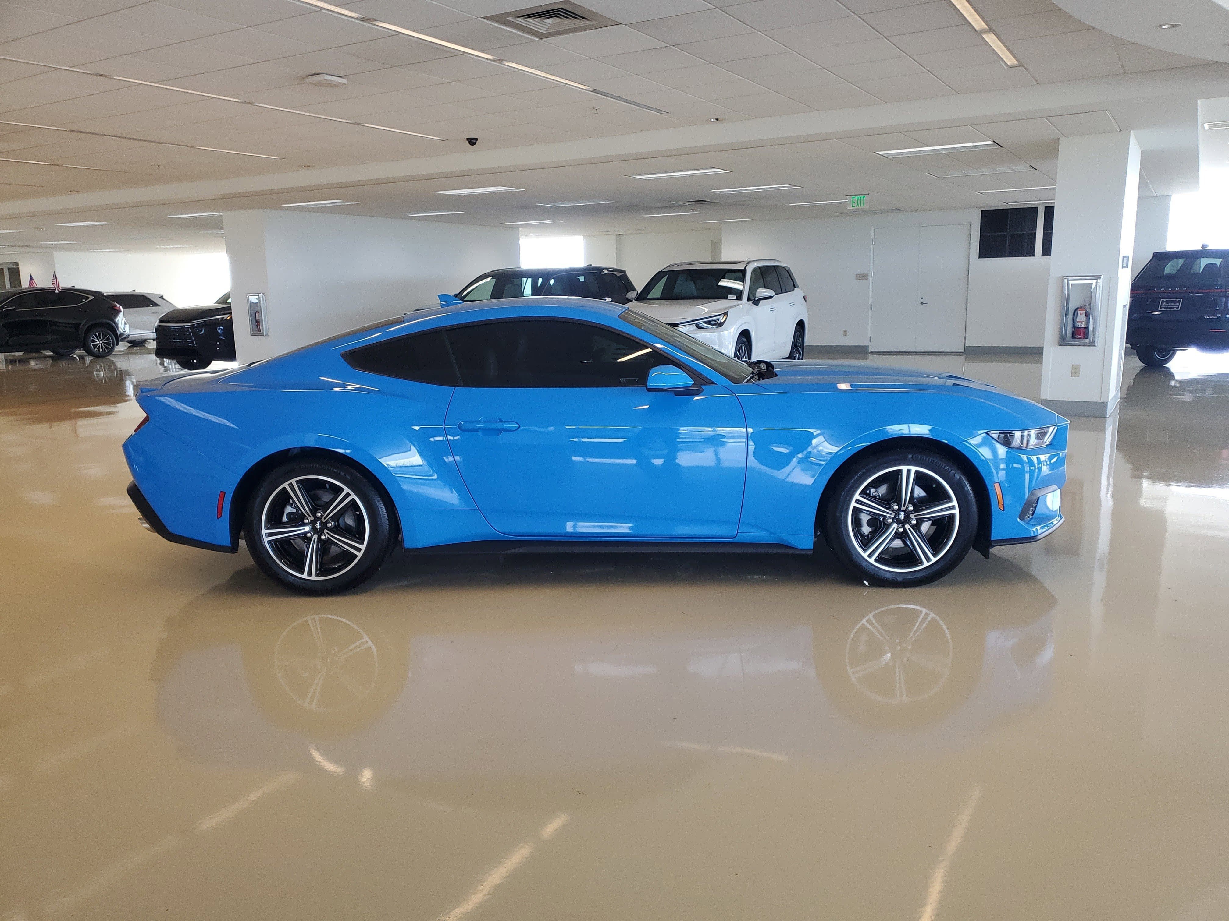 Used 2025 Grabber Blue Metallic Ford EcoBoost Premium image 11