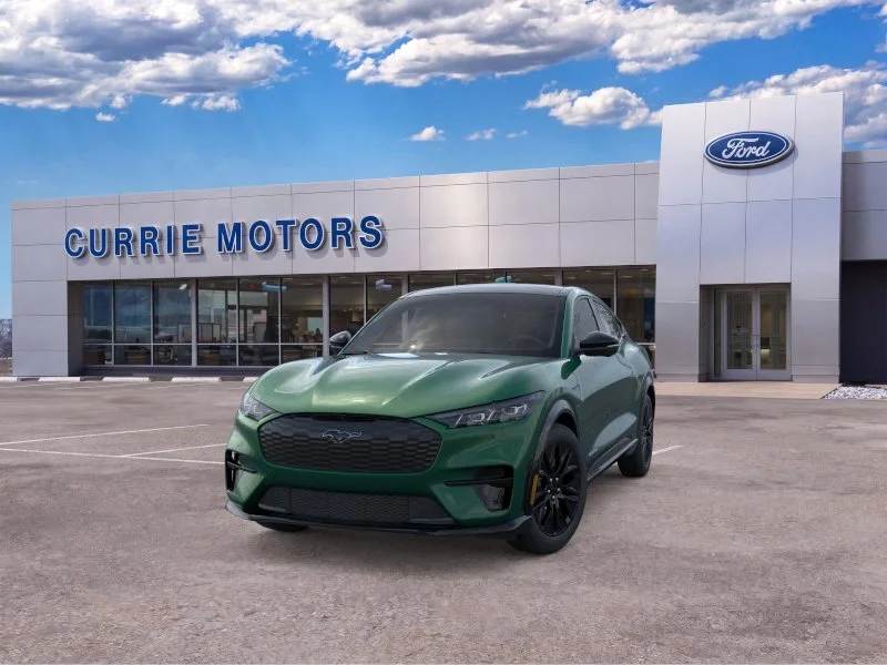 New 2026 Eruption Green Metallic Ford Premium image 2