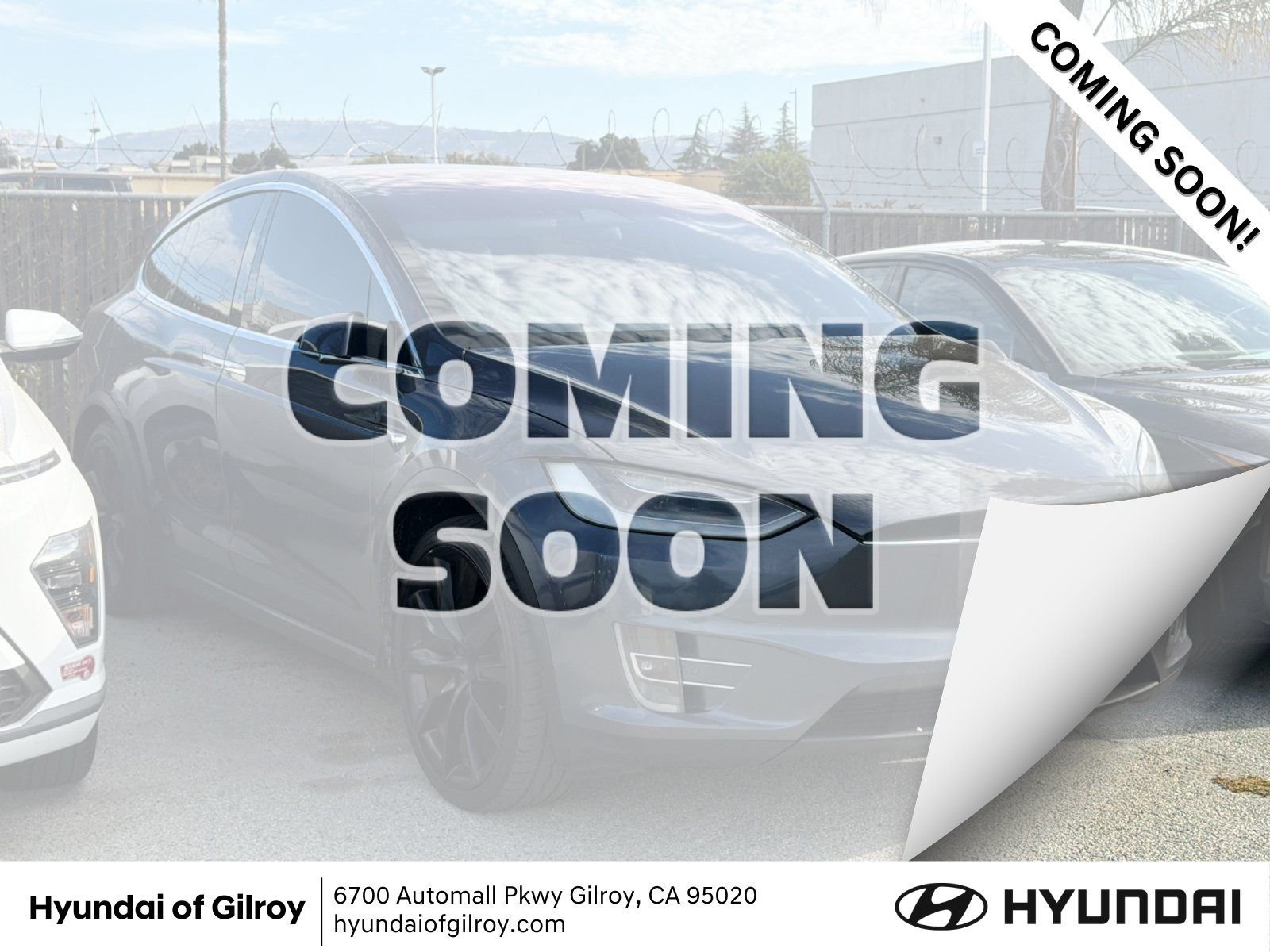 2020 Tesla Model X