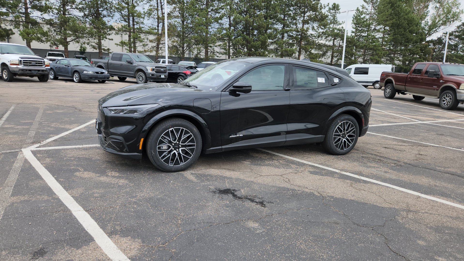 New 2026 Shadow Black Ford Premium image 4