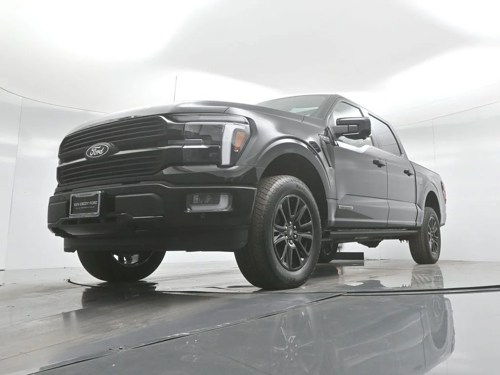New 2025 Agate Black Metallic Ford Platinum image 45