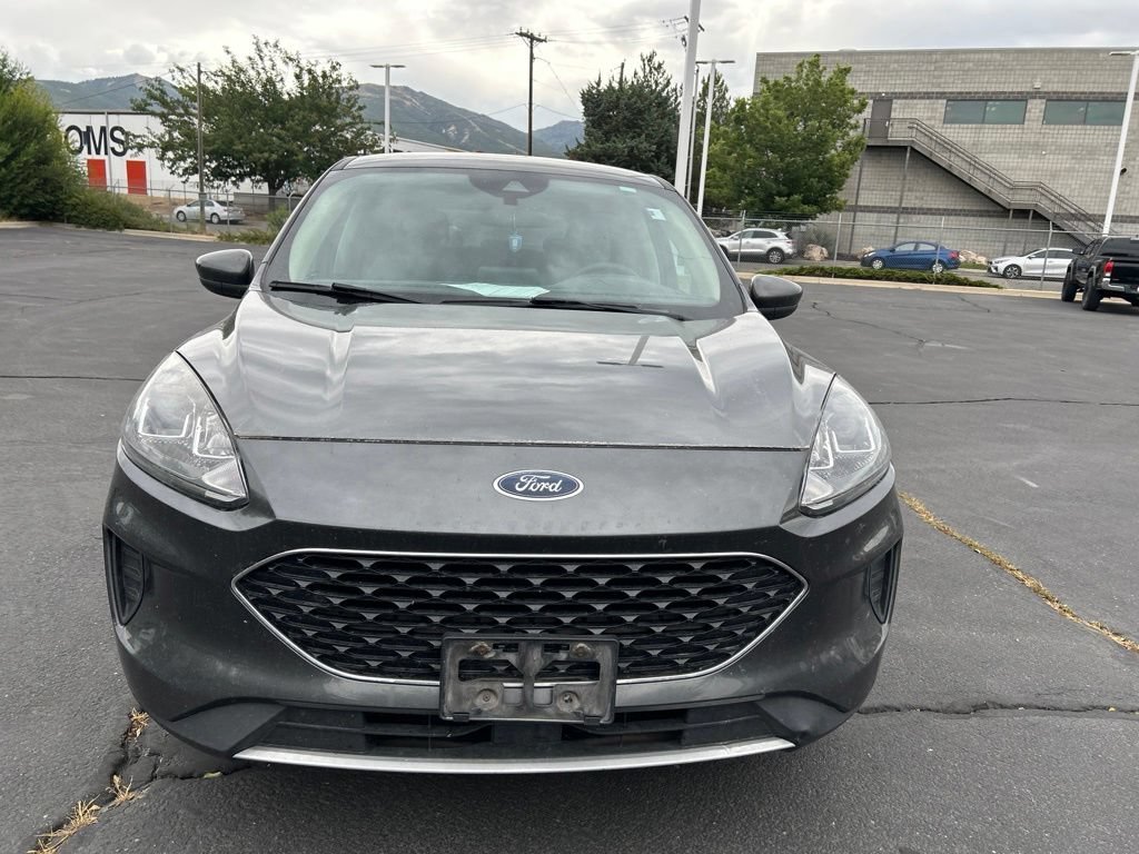 Used 2020 Magnetic Ford SE image 3