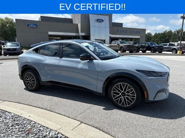 Used 2024 Gray Ford Premium image 1