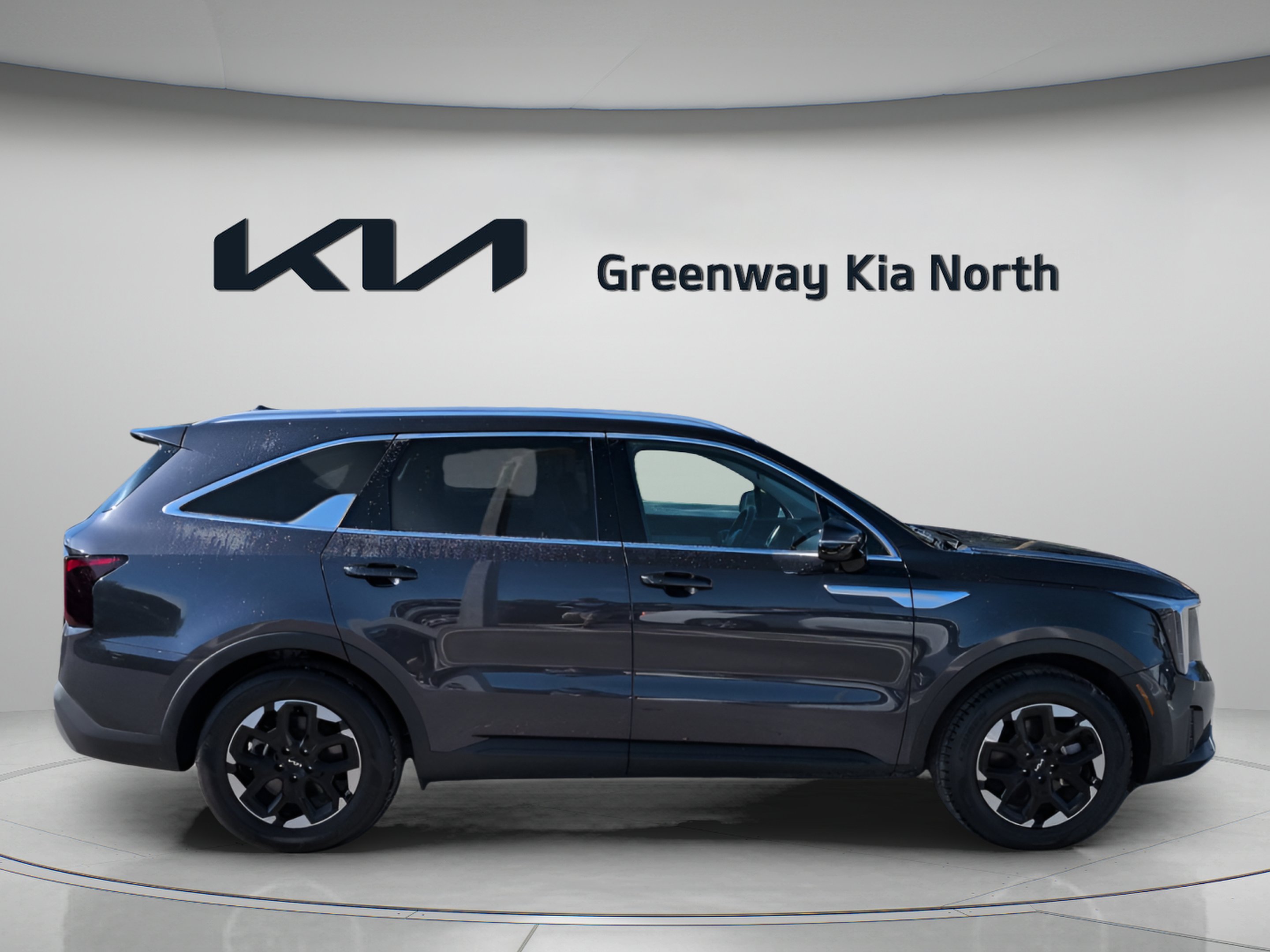Used 2025 Panthera Metal Kia S image 9