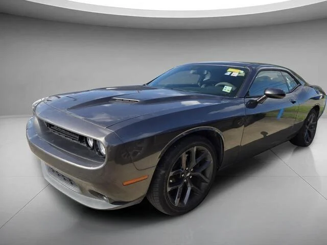 Used 2019 Granite Pearlcoat Dodge SXT image 1