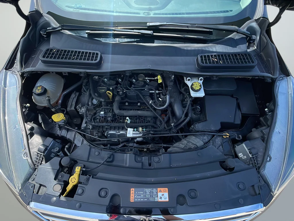 Used 2019 Black Ford SE image 22