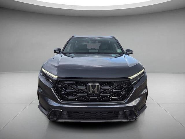 Used 2025 Meteorite Gray Metallic Honda SPORTL image 8