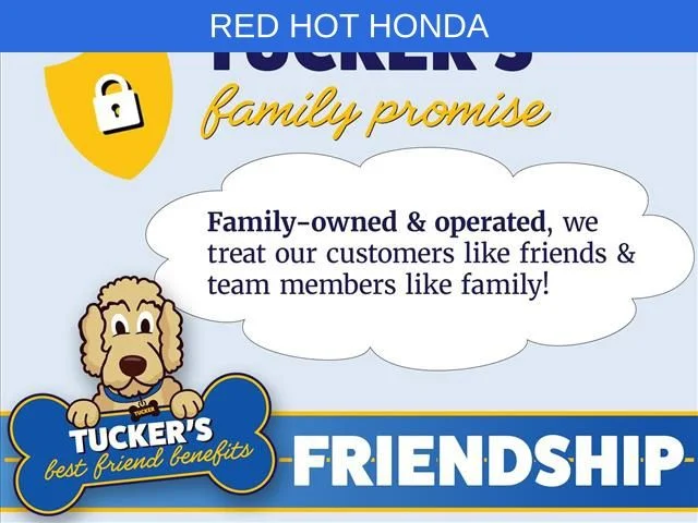 Used 2025 Red Honda Sport-L image 5