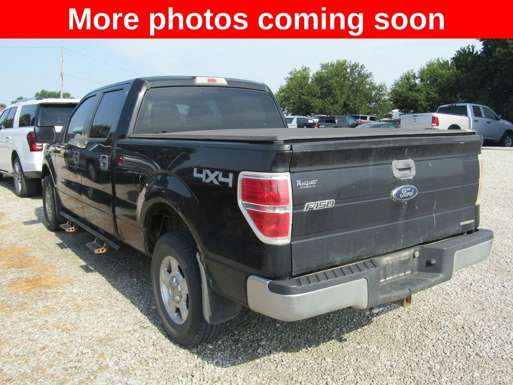 Used 2014  Ford Limited image 3