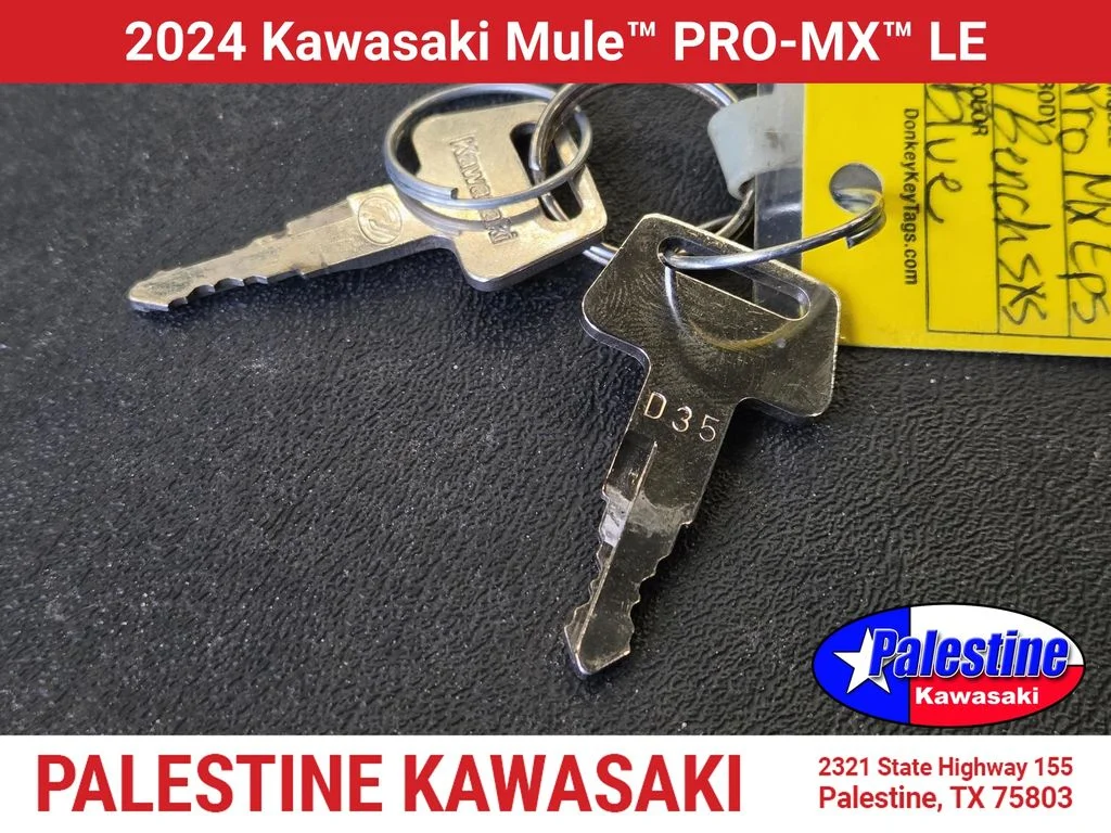 Used 2024 Blue Kawasaki  image 23