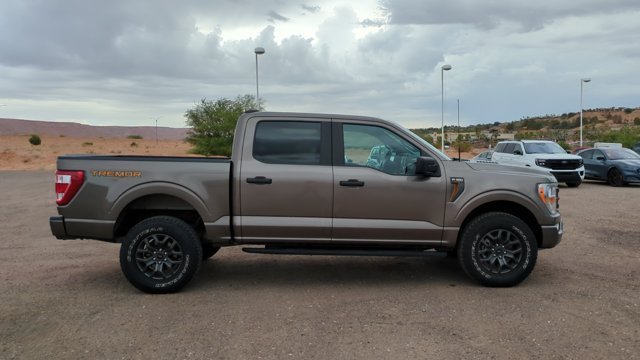 2022 Ford F-150 Tremor - Photo 35