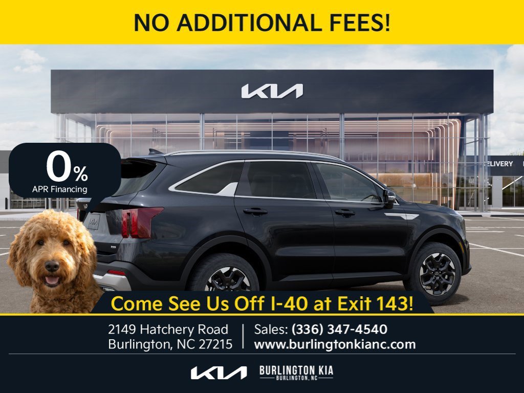 New 2026 Panthera Metal Kia S image 6