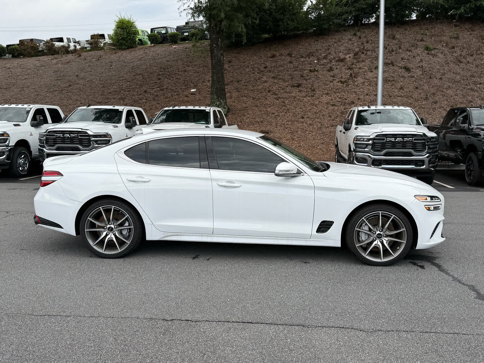 Used 2025 Alta White Genesis 2.5T image 6