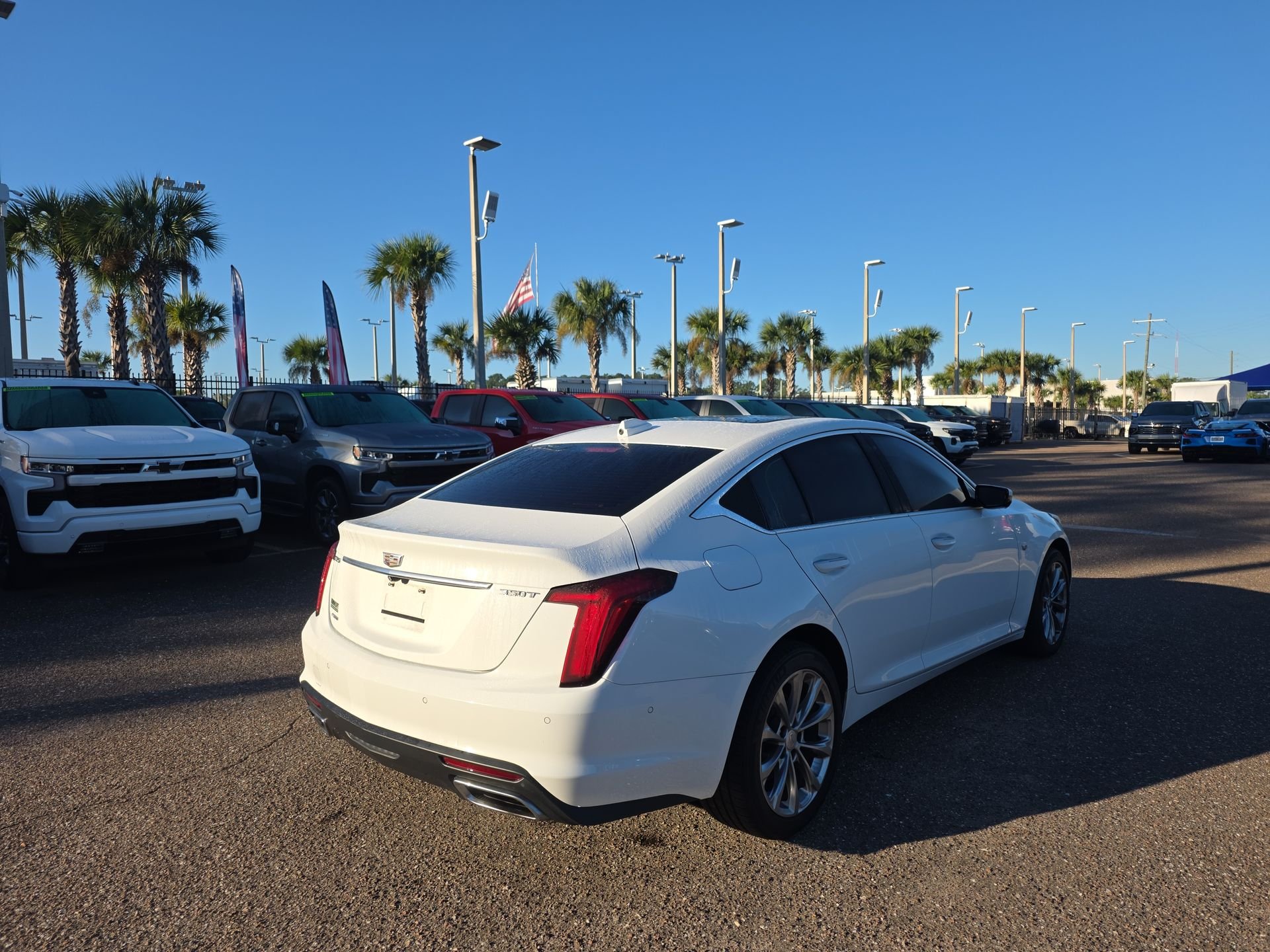 Used 2024 Summit White Cadillac Premium Luxury image 13