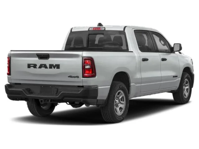 New 2026 Silver Zynith Exterior Paint RAM  image 2