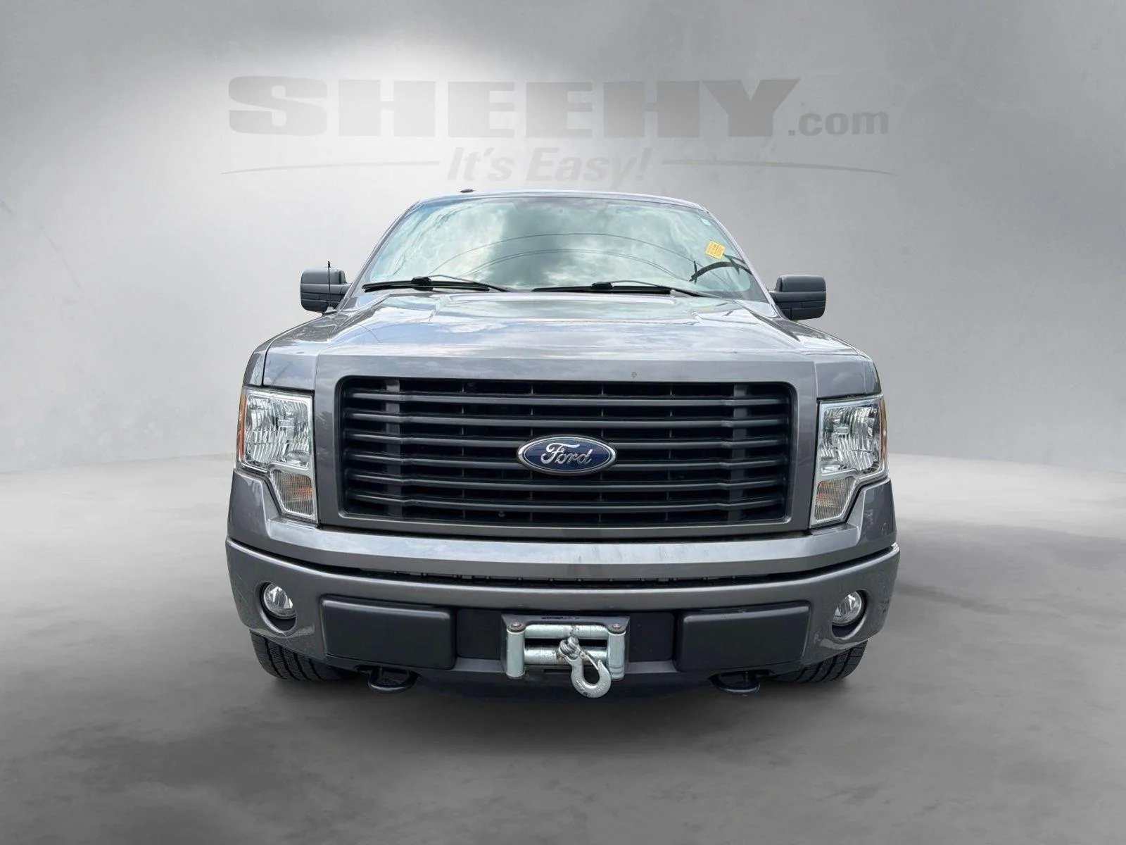 Used 2014  Ford STX image 16