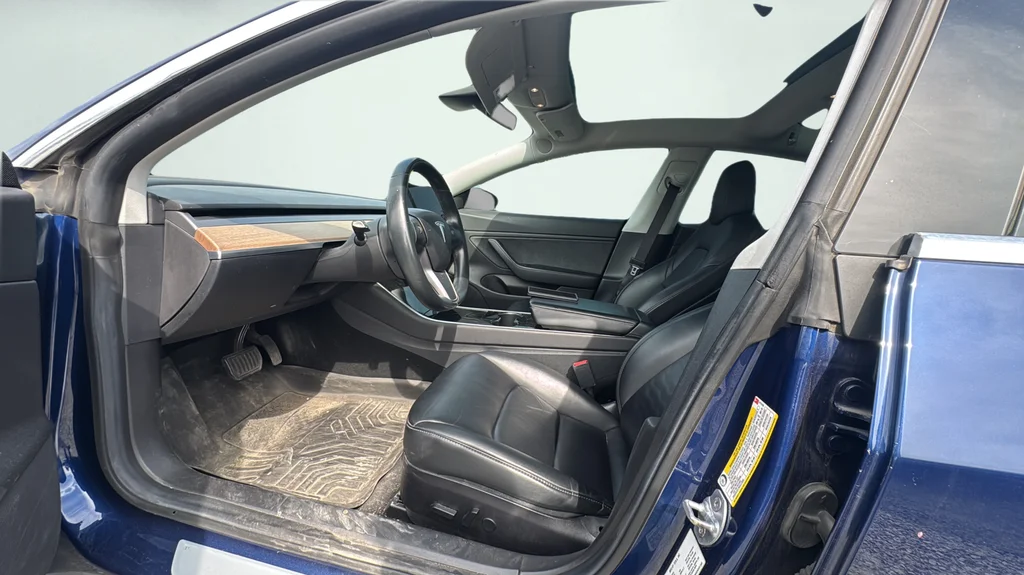 Used 2019 Blue Tesla Standard Range Plus image 14